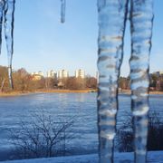 Trigger 10 februari 2024