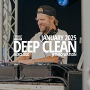 Deep Clean 004