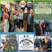 Time to level up your pruning game