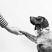 Take My Hand - Happy Radio Mix 12