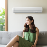 What is Air Duct Sanitizing & Why is it Important? - Audio Blog