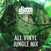 All Vinyl Jungle Mix