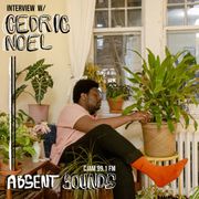 Interview with Cedric Noel
