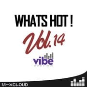 WHATS HOT! Vol. 14 || Commercial House Mashups