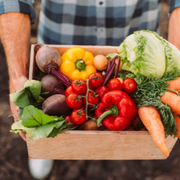 What Is a Summer Harvest? What Produce Is Harvested in Summer? - Audio Blog