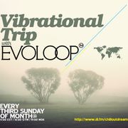 EvoLoop - Vibrational Trip 015 (11-20-2011)