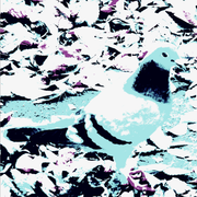 [Grundlagen Von KOOAS Fandom] DJ-Mixed Bag by COOWAVE