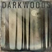 Dark Woods by Daniel Hawkins