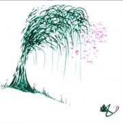 Jon Hopkins - The Art Of Chill 2 (2005)