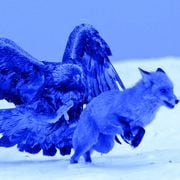 'Convolution' Set 4 (12/05/2016)