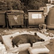 Rest and Relaxation (O.J.A.I/No Tourists July 2023)