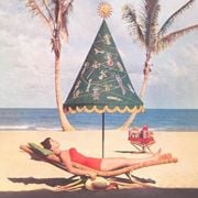 Winter Light / Summer Heat #305 Frosted Fronds