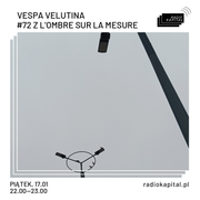 RADIO KAPITAŁ: Vespa Velutina: #72 z l'Ombre sur la Mesure (2025-01-17)