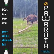 Kefirowe poniedziałki - Wczucior #88/1436 PAWAROTA Radio - 07.10.2024