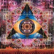 Fischmehl - Psy-Techno Set @ Mayapur 2021 (130-140 Bpm)