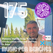 Music for Beaches 175 - Andy Wilson Interview