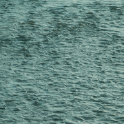 Perpetua R - House Dressing Mix