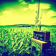 The Wheat from the Chat - 23/08/23