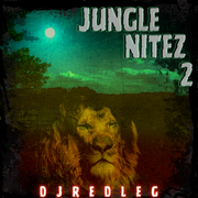 Jungle Nitez 2