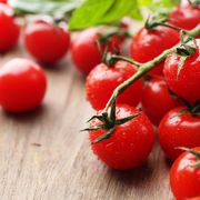What Is a Chadwick Cherry Tomato: Learn About Chadwick Cherry Tomatoes - Audio Blog