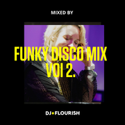 Funky Disco Vol. 2