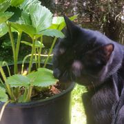 M3M0RYL34K 00000079 2024.08.25