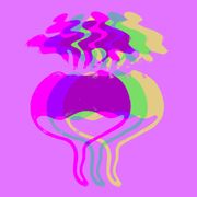 Melinda Bronstein - Quality Turnip - 07.25