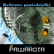 Kefirowe poniedziałki - Wczucior #43/1200 PAWAROTA Radio - 06.11.2023