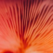 Jordan B - Hip Hop Mix