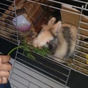 First Crew Show of the Year