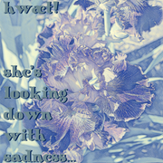 hwæt! she’s looking down with sadness...