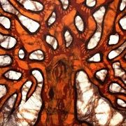 Dance is Medicine: Søndag i stuen Mix 22