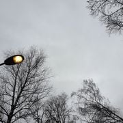 TRANSMITTER XIX 12.12.2021 [674.fm]