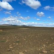 Positive Vibrations with Tommi White on Pressure Radio 24.07.2024