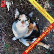 Stevie's Spring Selections 4 ER_SE_V_XII
