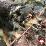 Pd premotavanje 2025 [mikstejp]