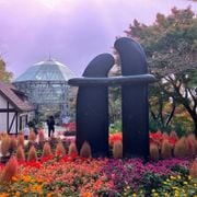 Digging Deep w/ Diego Olivas (24/04/25)