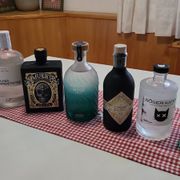 Techno ist nie Ginlos