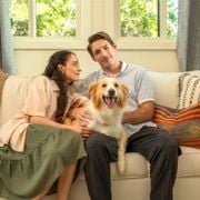 Top Reasons to Choose Filterbuy 16x24x4 Air Filters - Audio Blog