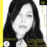 Collation Electronique S1 EP13 SYNATEC