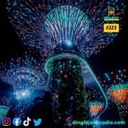 Dinglejam Radio #323 (Crazy Hour Edition Vol. 17)