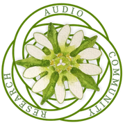 Stellaria Media - 02/09/24