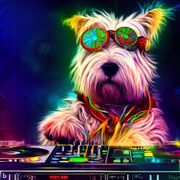 Rock The Boat Show 4th March 2025 8pm