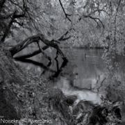 Riverbanks [IDM, Future Garage, Bass music mix]