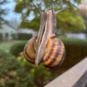 The Institute of Spectra-Sonic Sound 11.25.23