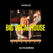 BIG VOCAL - House Mix