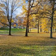 Trigger 1 november 2025