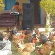 Les Energumenes MIXTAPE 10