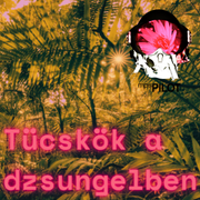 Tücskök a dzsungelben