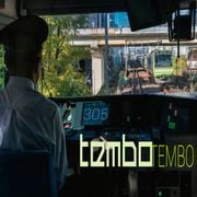 Tembo Tembo 305